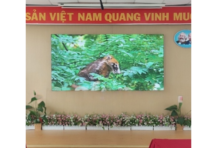 Màn Hình LED P2.5 Trong Nhà (Indoor)