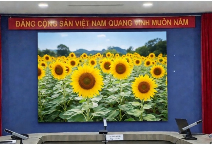 MÀN HÌNH LED P3 TRONG NHÀ