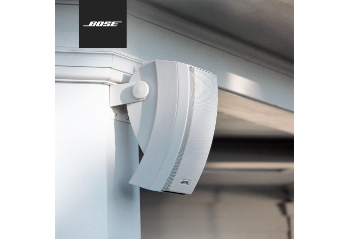 Loa môi trường BOSE 251 ENVIRONMENTAL