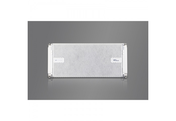 Loa sân khấu dB Technologies VIO L210