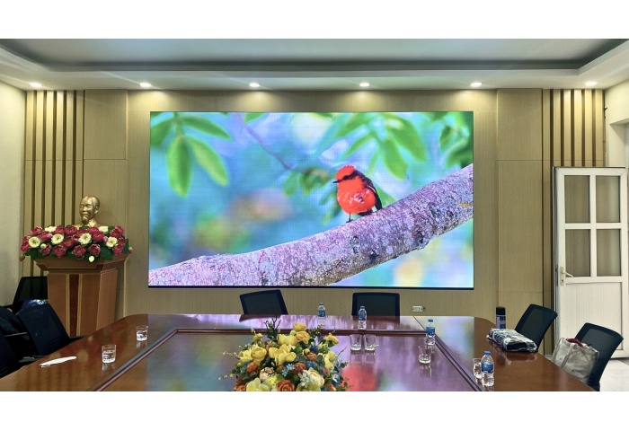 Màn Hình LED P2 Trong Nhà (Indoor)